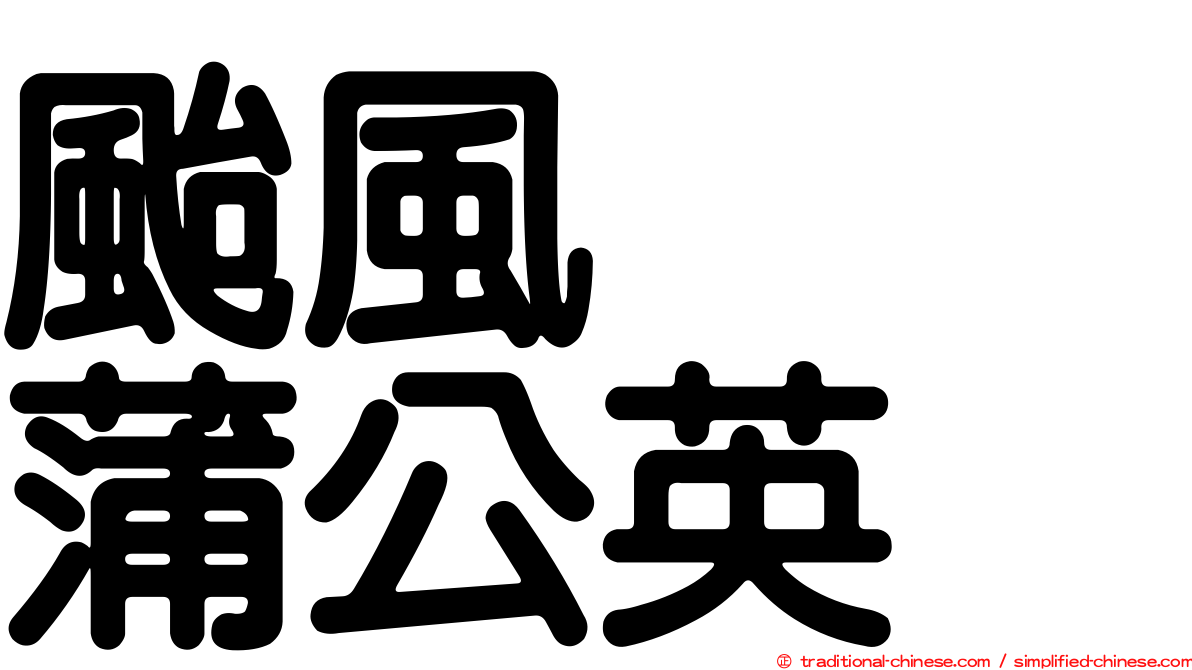 颱風　　蒲公英